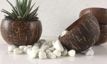 How this startup is upcycling discarded coconut shells into trendy, sustainable lifestyle products